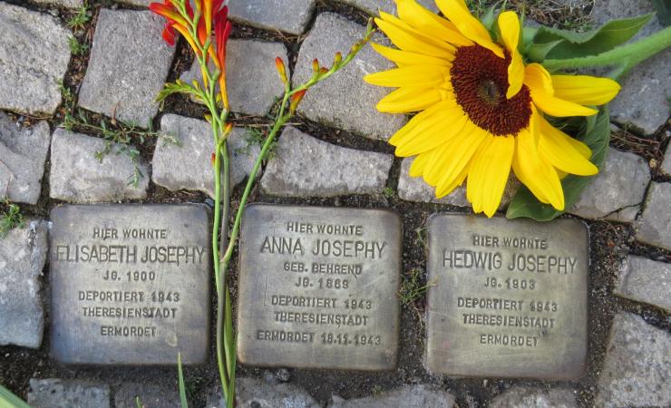 drei Metallplatten mit Inschriften im Boden inmitten von Pflastersteinen eingelassen, daneben eine Sonnenblume