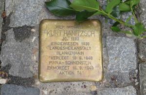 Stolperstein mit grünem Zweig